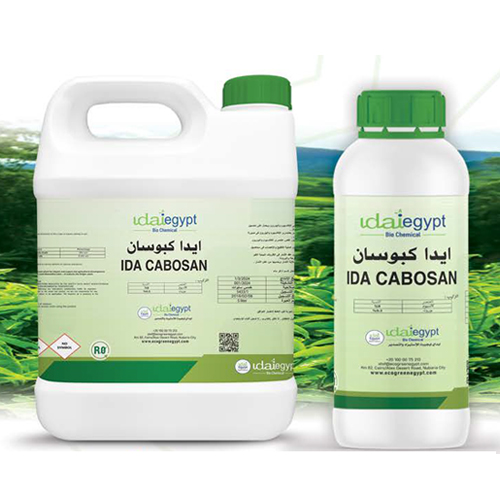 ايدا-كبوسان